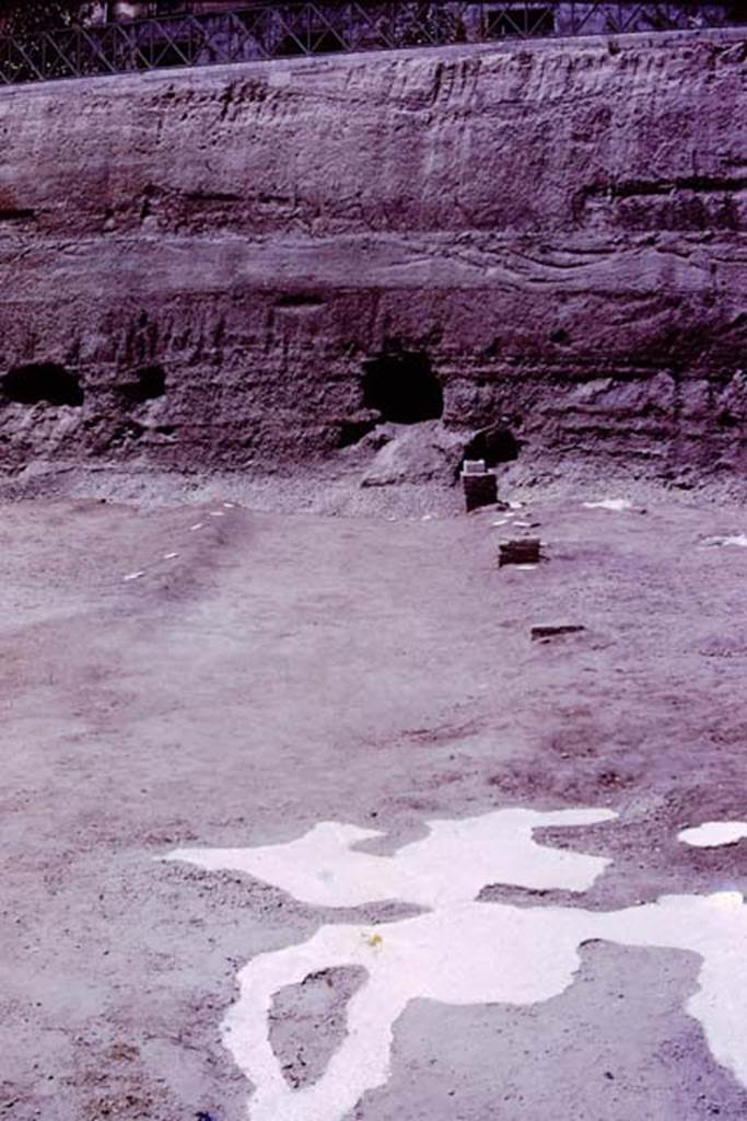 Oplontis, 1977. Looking north-west in the north garden.
Looking from the huge root cavity found in 1974, which took 230 large buckets of cement to fill in 1975, along the diagonal line of a pathway, with bases.
Wilhelmina thought the diagonal pathway probably joined with the central pathway leading out from room 21, although this could not be proved as the meeting point would be under the still unexcavated area.
Photo by Stanley A. Jashemski.
Source: The Wilhelmina and Stanley A. Jashemski archive in the University of Maryland Library, Special Collections (See collection page) and made available under the Creative Commons Attribution-Non Commercial License v.4. See Licence and use details.
J77f0358
According to Wilhelmina, “At the edge of the diagonal passageway on the east, four masonry statue bases were found. On them the marble shafts that supported the sculptured white marble heads had been mounted. In 1975, we had found the portrait head of a woman of the Julio-Claudian period. In addition, the Italian excavators had found the head of the goddess Aphrodite, the child Dionysus and the fine head of a Julio-Claudian boy, which some claimed was most certainly the child Nero.
These herms, which would have been set in the middle of clumps of plants, mainly oleanders, reminded us of the garden paintings that showed sculpture set amid masses of flowering oleanders. Only the shaft of one other herm was found, and a few details of the hair still on the shaft were sufficient for Stefano De Caro to identify the missing head as that of a bearded archaic-type Dionysus. 
See Jashemski, W.F., 2014. Discovering the Gardens of Pompeii: Memoirs of a Garden Archaeologist, (p.255)