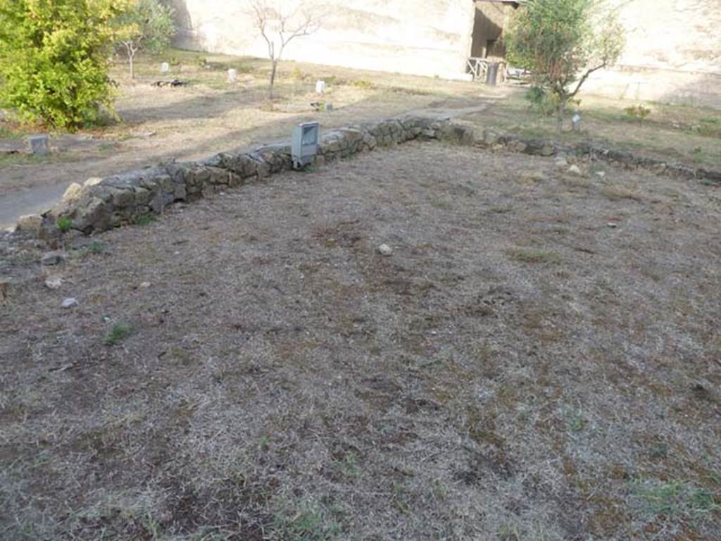 Oplontis, September 2015. Room 58, looking north-east towards the garden area and doorway through to room 69, near tree.