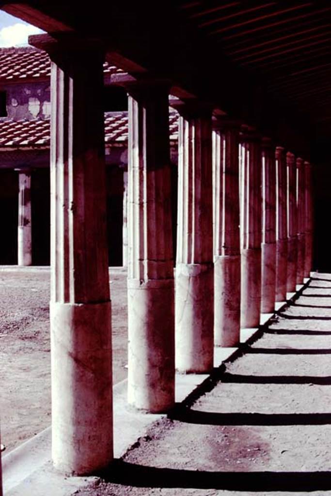 Oplontis, 1977. Area 59, looking north along east portico.
Source: The Wilhelmina and Stanley A. Jashemski archive in the University of Maryland Library, Special Collections (See collection page) and made available under the Creative Commons Attribution-Non Commercial License v.4. See Licence and use details. Oplo0098