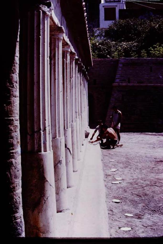 Oplontis, 1977. Area 59, looking south along east side, with white painted root cavities. Photo by Stanley A. Jashemski.   
Source: The Wilhelmina and Stanley A. Jashemski archive in the University of Maryland Library, Special Collections (See collection page) and made available under the Creative Commons Attribution-Non Commercial License v.4. See Licence and use details. J77f0361