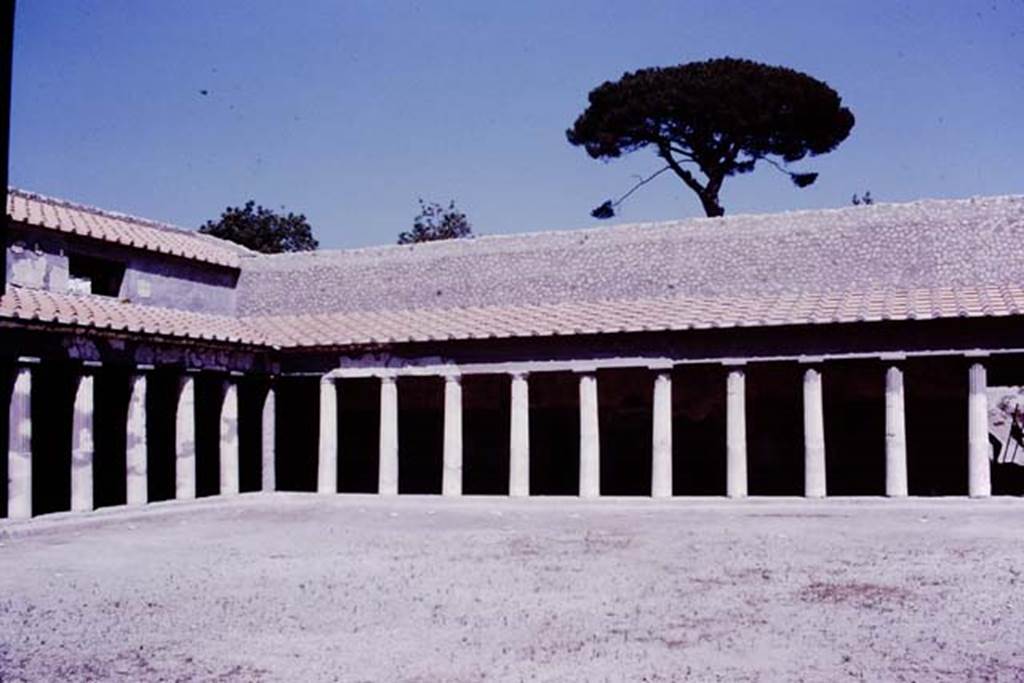 Oplontis, 1977. Area 59, the south-east peristyle, looking towards north-east corner and east wall. Photo by Stanley A. Jashemski.   
Source: The Wilhelmina and Stanley A. Jashemski archive in the University of Maryland Library, Special Collections (See collection page) and made available under the Creative Commons Attribution-Non Commercial License v.4. See Licence and use details. J77f0362