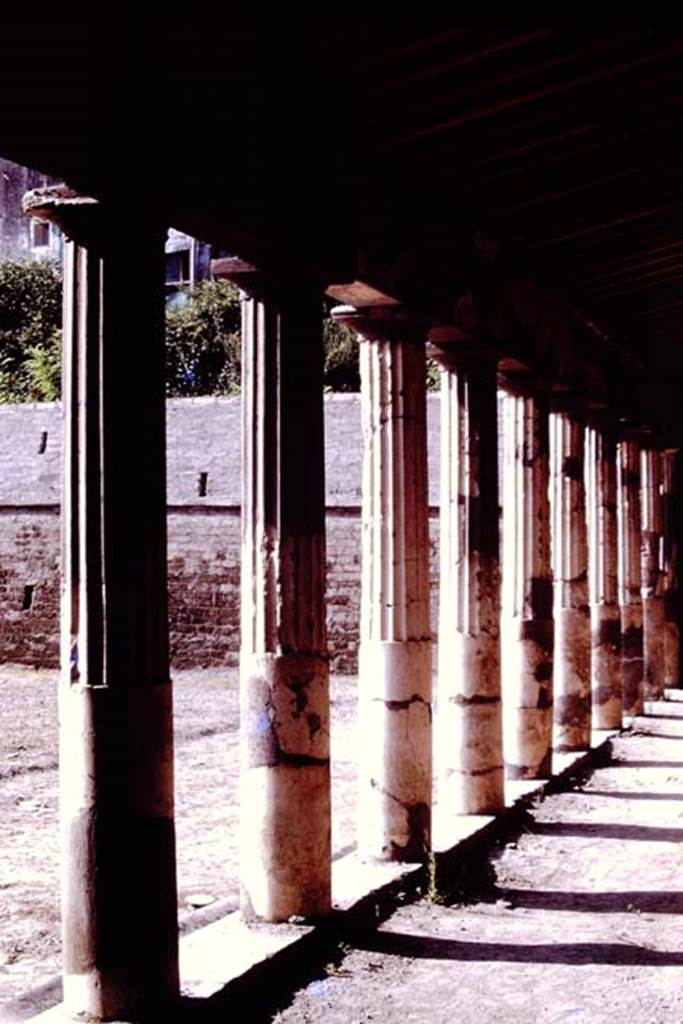 Oplontis, 1977. Area 59, Looking south-east from west portico. Photo by Stanley A. Jashemski.   
Source: The Wilhelmina and Stanley A. Jashemski archive in the University of Maryland Library, Special Collections (See collection page) and made available under the Creative Commons Attribution-Non Commercial License v.4. See Licence and use details. J77f0322