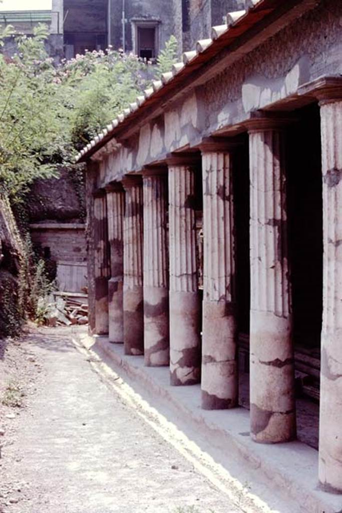 Oplontis. 1974. Peristyle 59, looking south along west portico. Photo by Stanley A. Jashemski.   
Source: The Wilhelmina and Stanley A. Jashemski archive in the University of Maryland Library, Special Collections (See collection page) and made available under the Creative Commons Attribution-Non Commercial License v.4. See Licence and use details. J74f0623