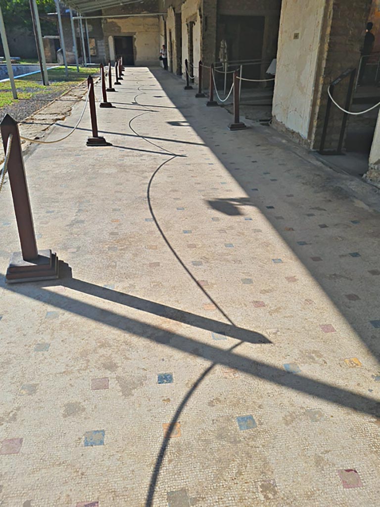 Oplontis Villa of Poppea, October 2023. 
Portico 60, looking south along mosaic flooring. Photo courtesy of Giuseppe Ciaramella.