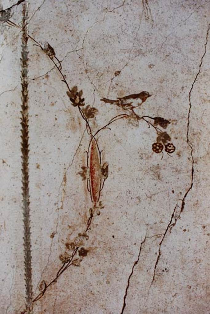 Oplontis, c.1977 or 1983/1984. Area 60, south wall of the portico, east side of doorway to room 66.
Painted bird (a robin?) on white wall of portico.
Source: The Wilhelmina and Stanley A. Jashemski archive in the University of Maryland Library, Special Collections (See collection page) and made available under the Creative Commons Attribution-Non Commercial License v.4. See Licence and use details.
Oplo0094