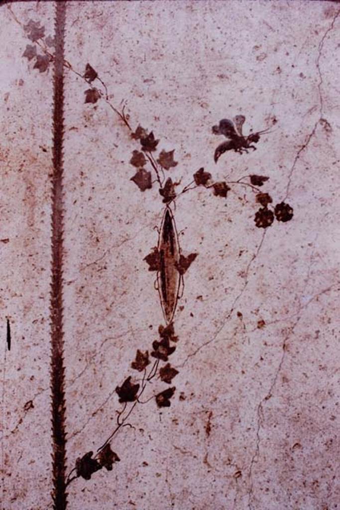 Oplontis, 1977 Area 60, west wall of portico, between doorways to room 66, and corridor 46.
Painted small cricket or butterfly. Photo by Stanley A. Jashemski. 
Source: The Wilhelmina and Stanley A. Jashemski archive in the University of Maryland Library, Special Collections (See collection page) and made available under the Creative Commons Attribution-Non Commercial License v.4. See Licence and use details.
J77f0159