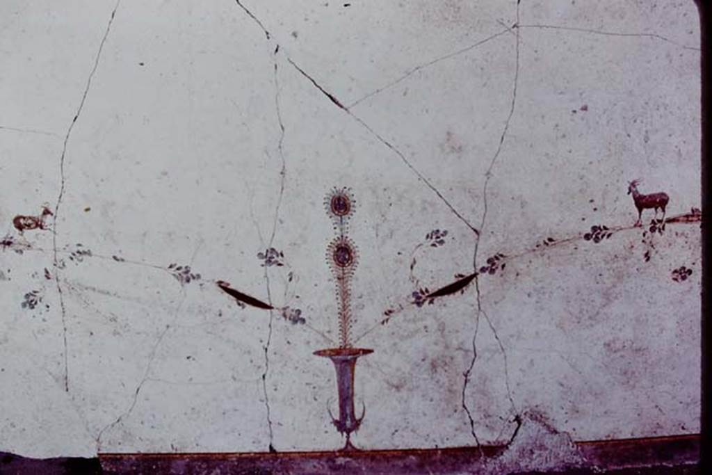 Oplontis, 1977. Area 60, west wall of portico, between doorways to room 66, and corridor 46. Urn and two goats. Photo by Stanley A. Jashemski.   
Source: The Wilhelmina and Stanley A. Jashemski archive in the University of Maryland Library, Special Collections (See collection page) and made available under the Creative Commons Attribution-Non Commercial License v.4. See Licence and use details.
J77f0385
