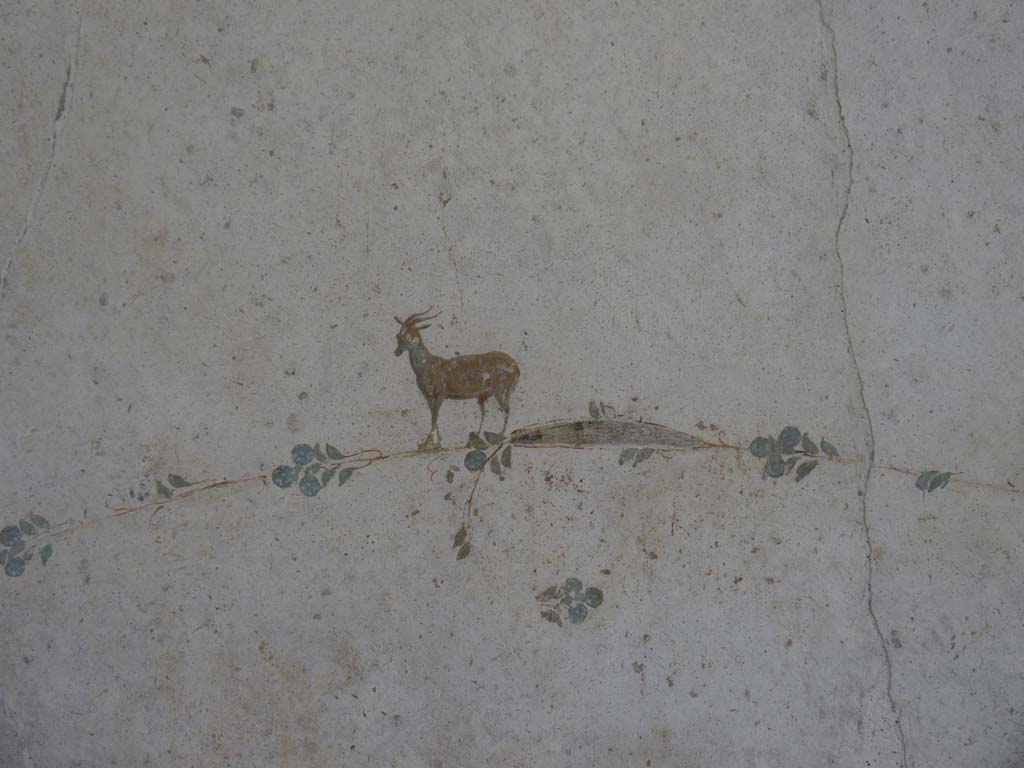 Oplontis Villa of Poppea, September 2018. Area 60, detail of standing goat from west wall of portico.
Foto Anne Kleineberg, ERC Grant 681269 DÉCOR.