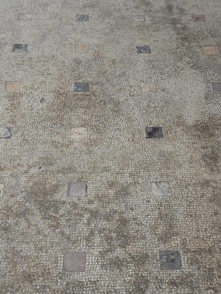 Oplontis Villa of Poppea, September 2017. Portico 60, looking south across detail of flooring.
Foto Annette Haug, ERC Grant 681269 DÉCOR.