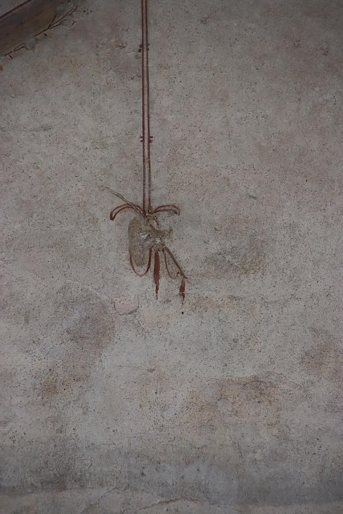 Villa of Poppaea, Oplontis, October 2023. 
Area 60, detail of painted decoration from west portico wall, on right above doorway to room 72.
Photo courtesy of Klaus Heese.