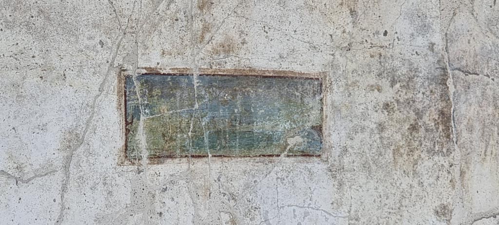 Oplontis Villa of Poppea, January 2023. 
Area 60, west wall of portico, painted panel from north side of doorway to room 72. Photo courtesy of Miriam Colomer.