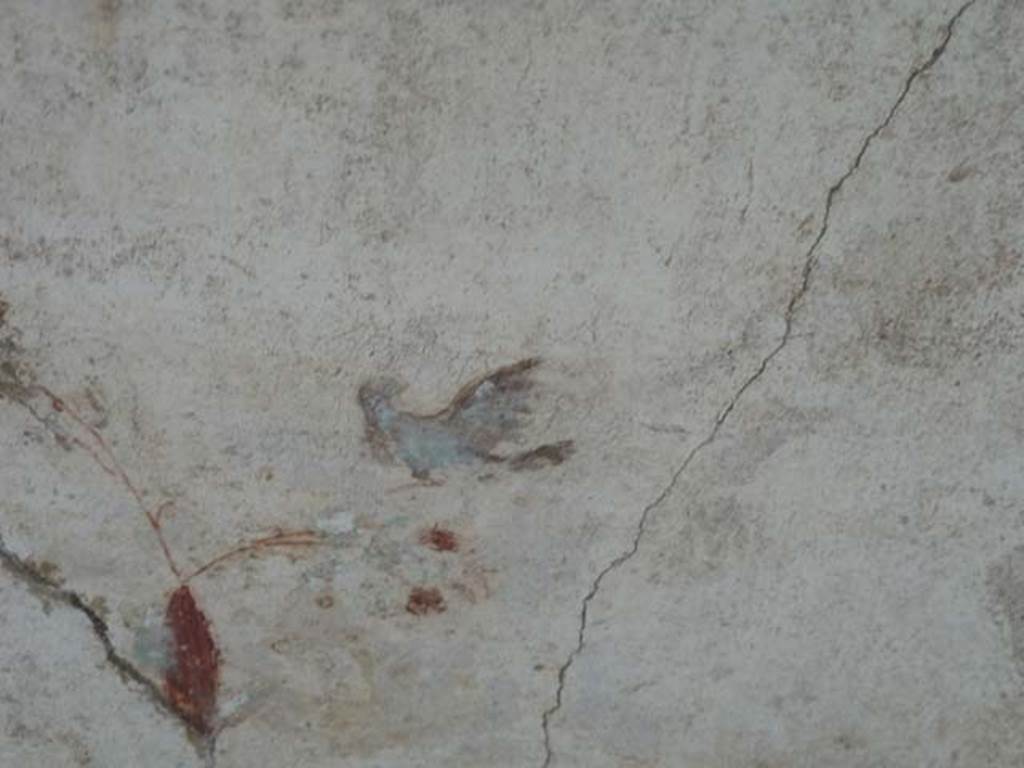 Oplontis, September 2015. Portico 60, detail of bird on painted wall between room 88 and room 90, at lower north end.