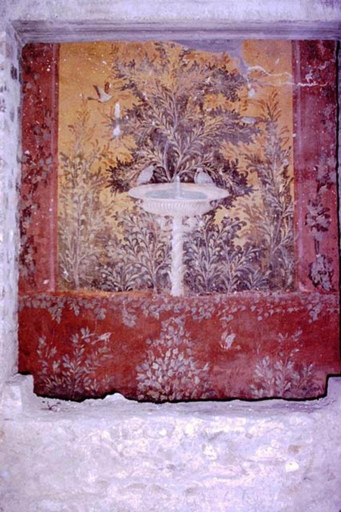 Oplontis, 1977. Room 61, south wall, looking through the window from room 65. Photo by Stanley A. Jashemski.   
Source: The Wilhelmina and Stanley A. Jashemski archive in the University of Maryland Library, Special Collections (See collection page) and made available under the Creative Commons Attribution-Non Commercial License v.4. See Licence and use details. J77f0224