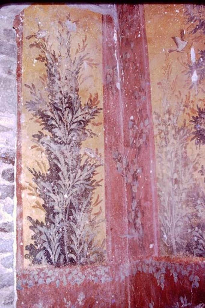 Oplontis, 1977. Room 61, looking towards the east wall and south-east corner. Photo by Stanley A. Jashemski.   
Source: The Wilhelmina and Stanley A. Jashemski archive in the University of Maryland Library, Special Collections (See collection page) and made available under the Creative Commons Attribution-Non Commercial License v.4. See Licence and use details. J77f0219