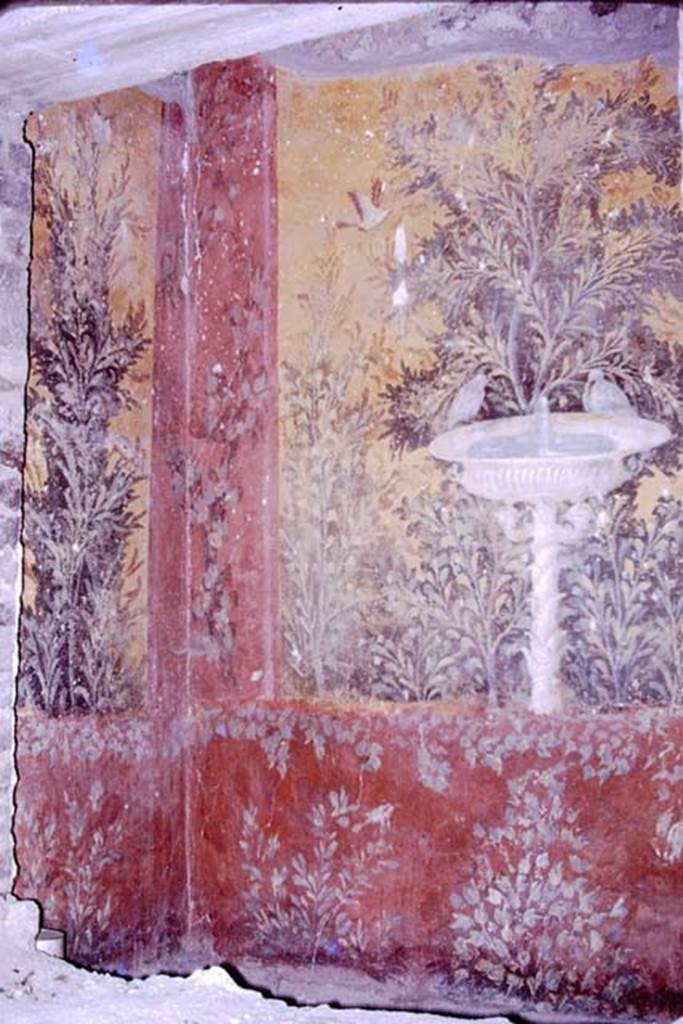 Oplontis, 1977. Room 61, looking towards the south-east corner. Photo by Stanley A. Jashemski.   
Source: The Wilhelmina and Stanley A. Jashemski archive in the University of Maryland Library, Special Collections (See collection page) and made available under the Creative Commons Attribution-Non Commercial License v.4. See Licence and use details. J77f0217