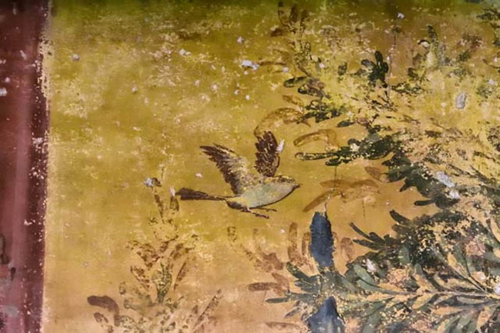 Oplontis Villa of Poppea, April 2018. Room 61, detail of painted bird from south wall. 
Photo courtesy of Ian Lycett-King. Use is subject to Creative Commons Attribution-NonCommercial License v.4 International.