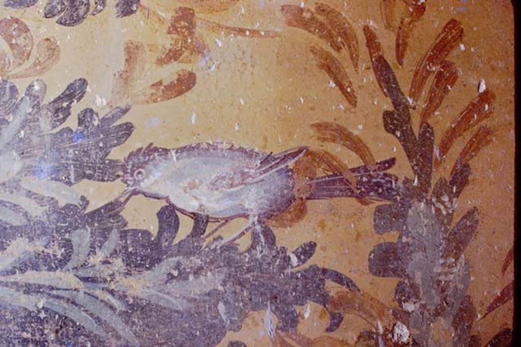 Oplontis. 1976. Room 61, detail of painted bird from south wall of raised courtyard garden.  Photo by Stanley A. Jashemski.   
Source: The Wilhelmina and Stanley A. Jashemski archive in the University of Maryland Library, Special Collections (See collection page) and made available under the Creative Commons Attribution-Non Commercial License v.4. See Licence and use details. J76f0407
