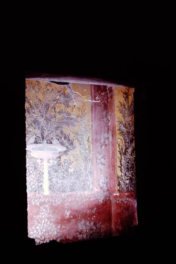 Oplontis, 1976.Room 61, looking through the window from room 65. Photo by Stanley A. Jashemski.   
Source: The Wilhelmina and Stanley A. Jashemski archive in the University of Maryland Library, Special Collections (See collection page) and made available under the Creative Commons Attribution-Non Commercial License v.4. See Licence and use details. J76f0398