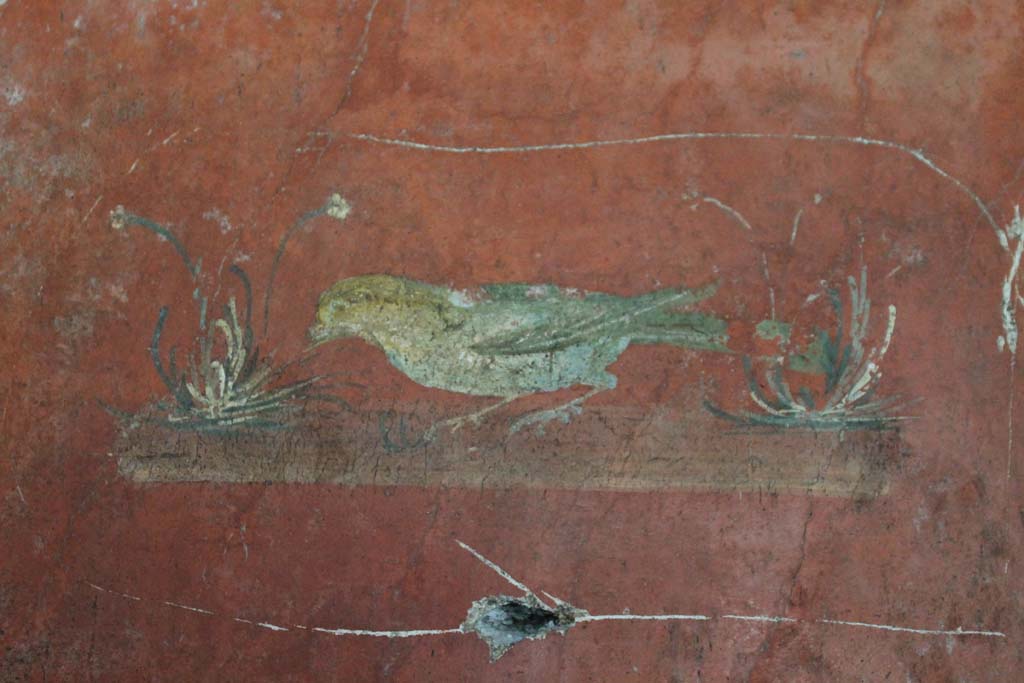 Oplontis Villa of Poppea, March 2014. Room 66, detail of painted bird from middle of centre panel of west wall.
Foto Annette Haug, ERC Grant 681269 DÉCOR.