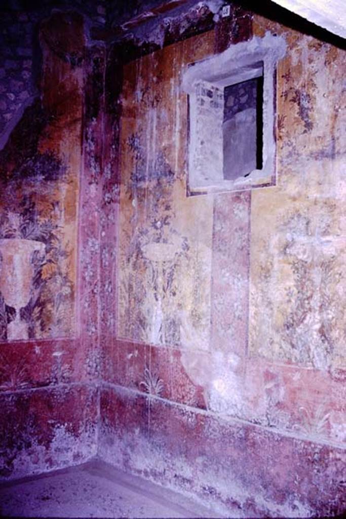 Oplontis, 1977. Room 68, south-west corner and west wall. Photo by Stanley A. Jashemski.   
Source: The Wilhelmina and Stanley A. Jashemski archive in the University of Maryland Library, Special Collections (See collection page) and made available under the Creative Commons Attribution-Non Commercial License v.4. See Licence and use details. J77f0368