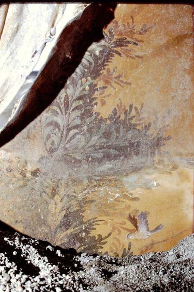 Oplontis, 1975. Room 68, south wall with detail of painted bird and plants. 
Photo by Stanley A. Jashemski.   
Source: The Wilhelmina and Stanley A. Jashemski archive in the University of Maryland Library, Special Collections (See collection page) and made available under the Creative Commons Attribution-Non Commercial License v.4. See Licence and use details. J75f0297