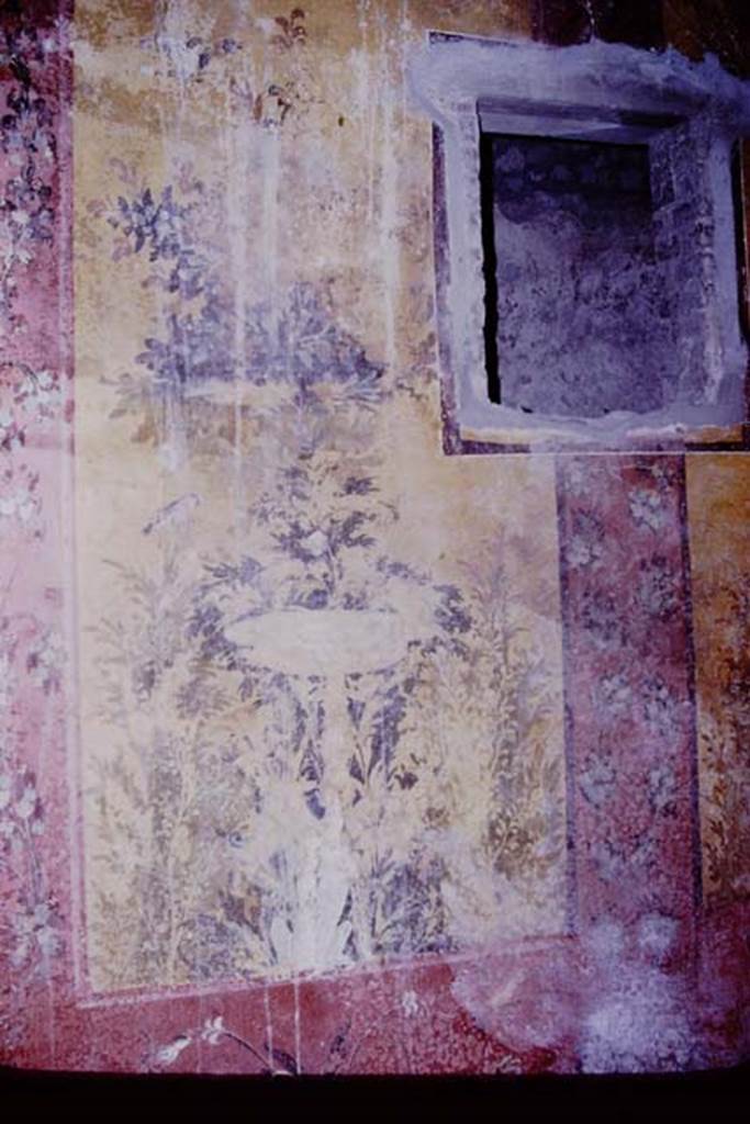 Oplontis, 1977. Room 68, west wall with window. Photo by Stanley A. Jashemski.   
Source: The Wilhelmina and Stanley A. Jashemski archive in the University of Maryland Library, Special Collections (See collection page) and made available under the Creative Commons Attribution-Non Commercial License v.4. See Licence and use details. J77f0326