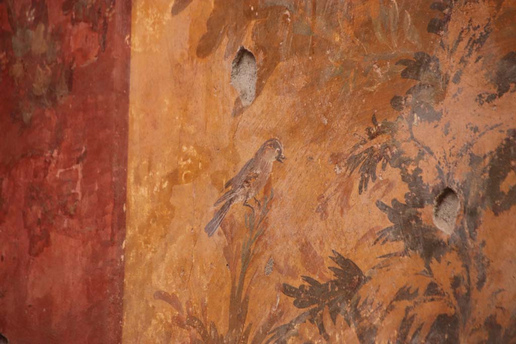 Oplontis Villa of Poppea, October 2020.  
Room 68, detail of painted bird on west wall at south end. Photo courtesy of Klaus Heese.
