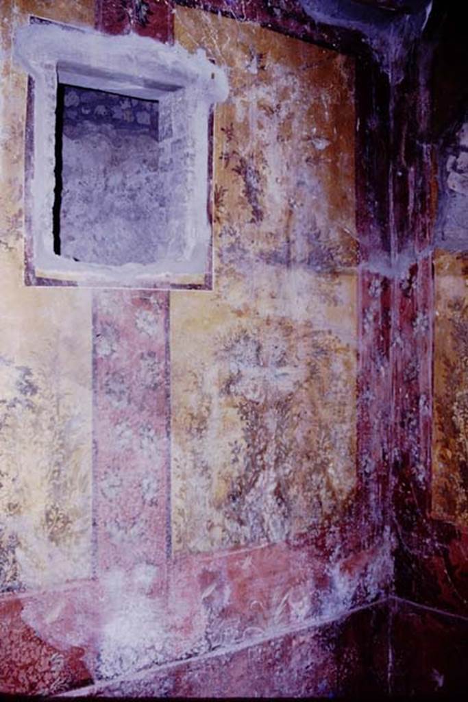 Oplontis, 1977. Room 68, west wall and north-west corner.  Photo by Stanley A. Jashemski.  
Source: The Wilhelmina and Stanley A. Jashemski archive in the University of Maryland Library, Special Collections (See collection page) and made available under the Creative Commons Attribution-Non Commercial License v.4. See Licence and use details. J77f0327