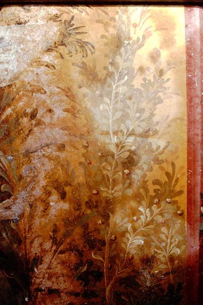 Oplontis, 1975. Room 68, detail of painted plants at north end of west wall. 
Photo by Stanley A. Jashemski.   
Source: The Wilhelmina and Stanley A. Jashemski archive in the University of Maryland Library, Special Collections (See collection page) and made available under the Creative Commons Attribution-Non Commercial License v.4. See Licence and use details. J75f0299