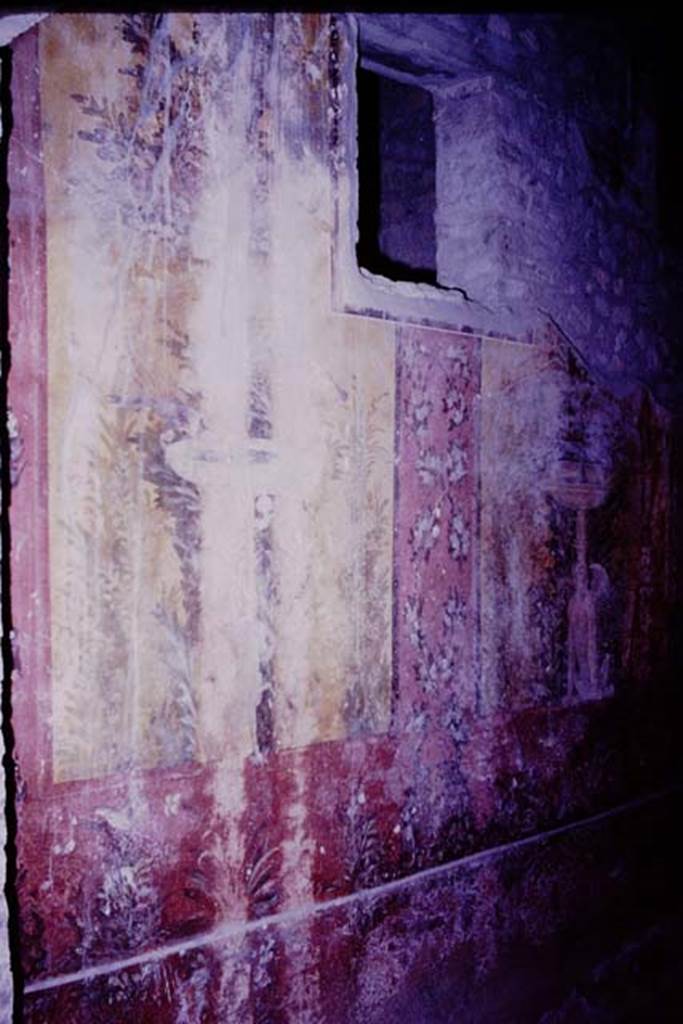 Oplontis, 1977. Room 68, looking towards east wall. Photo by Stanley A. Jashemski.   
Source: The Wilhelmina and Stanley A. Jashemski archive in the University of Maryland Library, Special Collections (See collection page) and made available under the Creative Commons Attribution-Non Commercial License v.4. See Licence and use details. J77f0366