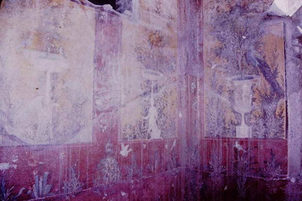 Oplontis, 1977. Room 70, west wall and north-west corner. Photo by Stanley A. Jashemski.   
Source: The Wilhelmina and Stanley A. Jashemski archive in the University of Maryland Library, Special Collections (See collection page) and made available under the Creative Commons Attribution-Non Commercial License v.4. See Licence and use details. J77f0373