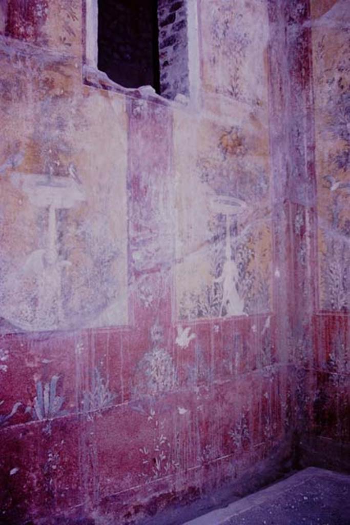 Oplontis, 1977. Room 70, lower west wall and garden surround in north-west corner. Photo by Stanley A. Jashemski.   
Source: The Wilhelmina and Stanley A. Jashemski archive in the University of Maryland Library, Special Collections (See collection page) and made available under the Creative Commons Attribution-Non Commercial License v.4. See Licence and use details. J77f0374