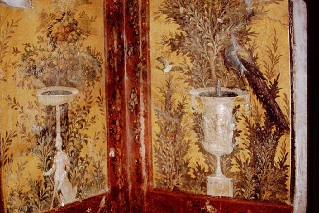 Oplontis, 1978. Room 70, north-west corner. Photo by Stanley A. Jashemski.   
Source: The Wilhelmina and Stanley A. Jashemski archive in the University of Maryland Library, Special Collections (See collection page) and made available under the Creative Commons Attribution-Non Commercial License v.4. See Licence and use details. J78f0296