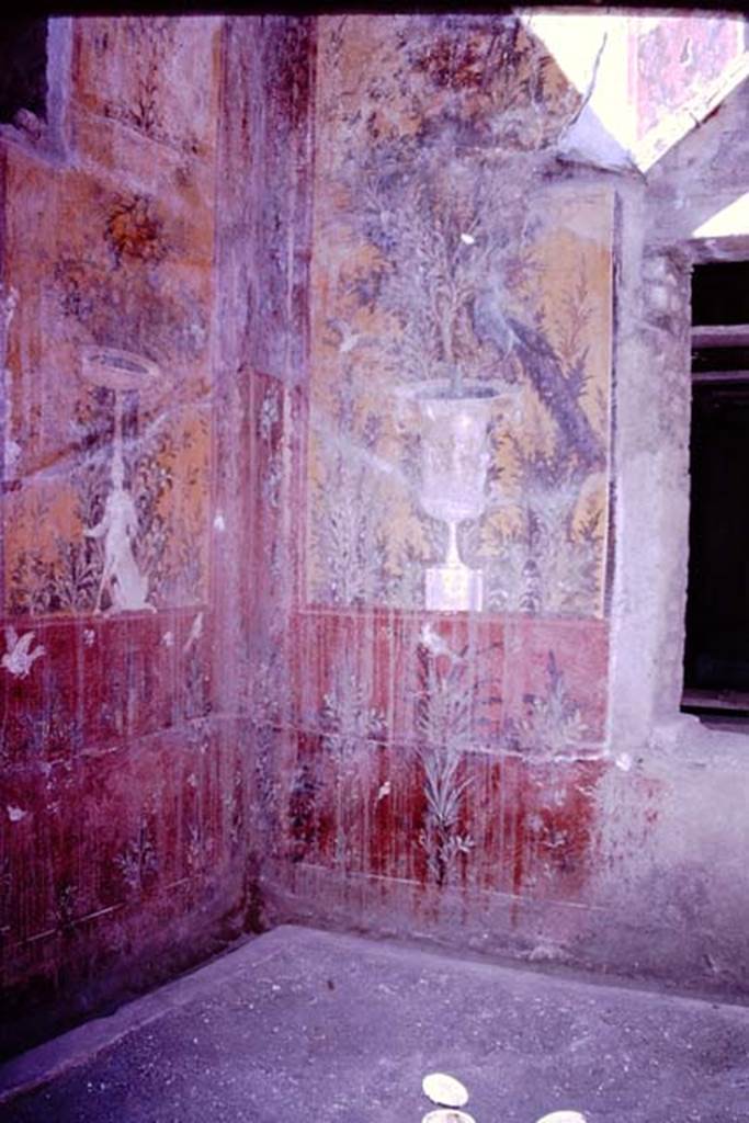 Oplontis, 1977. Room 70, lower north-west corner, and garden area. Photo by Stanley A. Jashemski.   
Source: The Wilhelmina and Stanley A. Jashemski archive in the University of Maryland Library, Special Collections (See collection page) and made available under the Creative Commons Attribution-Non Commercial License v.4. See Licence and use details. J77f0376