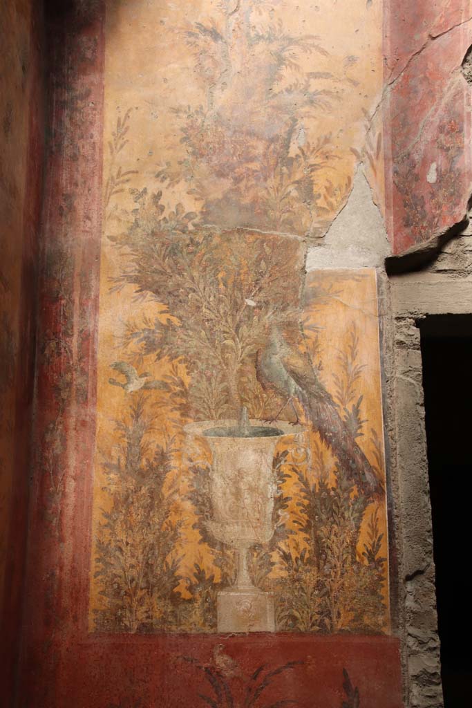 Oplontis Villa of Poppea, September 2021.  
Room 70, looking towards north wall, and north-west corner. Photo courtesy of Klaus Heese.