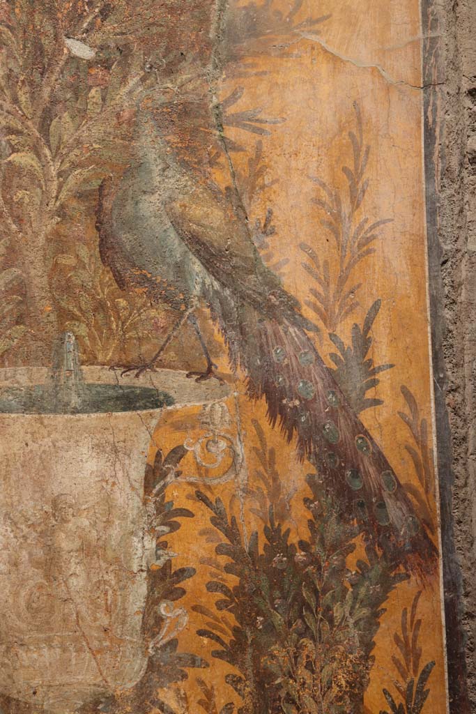 Oplontis Villa of Poppea, September 2021.  
Room 70, detail of peacock on north wall in north-west corner. Photo courtesy of Klaus Heese.