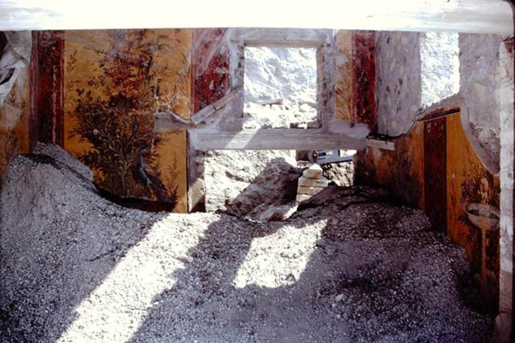 Oplontis, 1975. Room 70, looking towards north wall. Photo by Stanley A. Jashemski.   
Source: The Wilhelmina and Stanley A. Jashemski archive in the University of Maryland Library, Special Collections (See collection page) and made available under the Creative Commons Attribution-Non Commercial License v.4. See Licence and use details. J75f0308