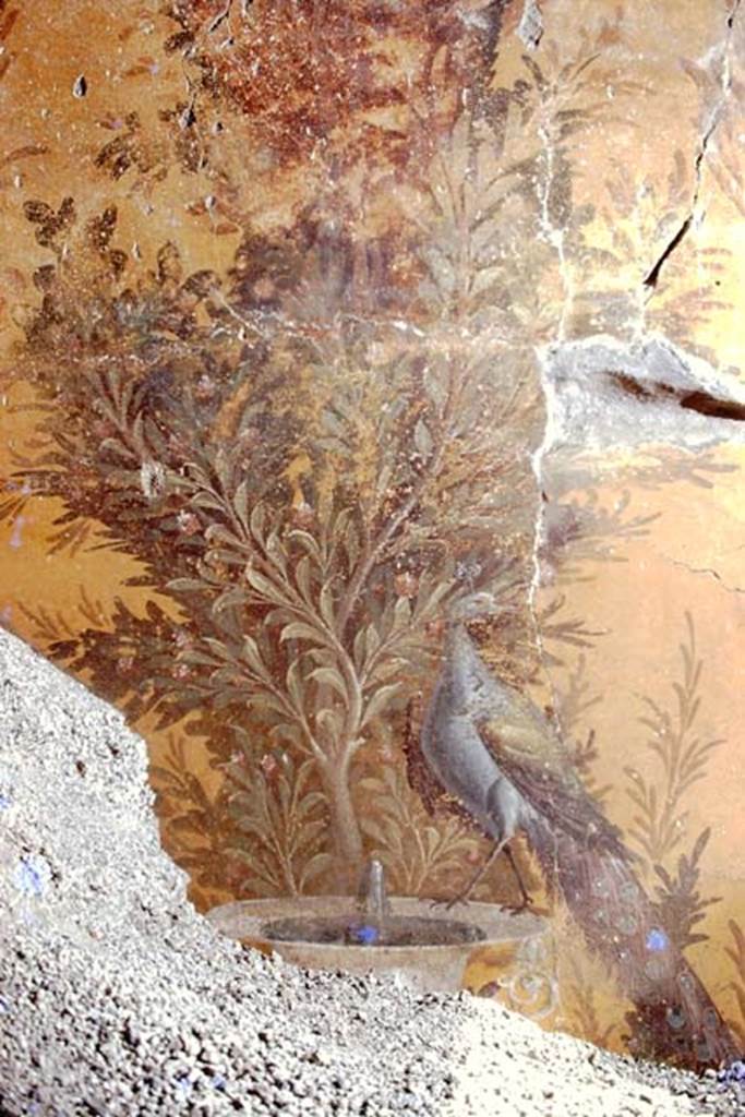 Oplontis, 1975. Room 70, wall painting from north wall in north-west corner. Photo by Stanley A. Jashemski.   
Source: The Wilhelmina and Stanley A. Jashemski archive in the University of Maryland Library, Special Collections (See collection page) and made available under the Creative Commons Attribution-Non Commercial License v.4. See Licence and use details. J75f0307