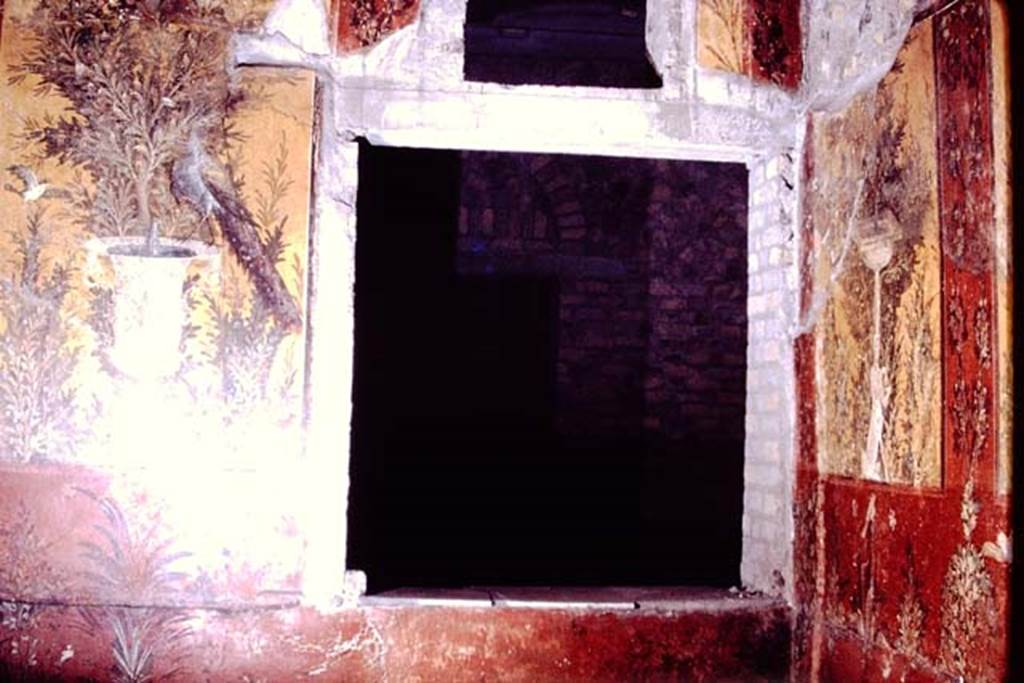 Oplontis, 1978. Room 70, looking towards window in north wall, and north-east corner.  Through the window, the door to room 87 can be seen, across room 74. Photo by Stanley A. Jashemski.   
Source: The Wilhelmina and Stanley A. Jashemski archive in the University of Maryland Library, Special Collections (See collection page) and made available under the Creative Commons Attribution-Non Commercial License v.4. See Licence and use details. J78f0321