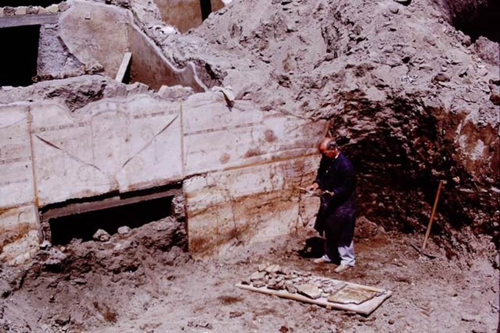 Oplontis, 1975. Area 60, a restorer collecting the fallen pieces of plaster from near room 72.  Photo by Stanley A. Jashemski.   
Source: The Wilhelmina and Stanley A. Jashemski archive in the University of Maryland Library, Special Collections (See collection page) and made available under the Creative Commons Attribution-Non Commercial License v.4. See Licence and use details. J75f0090