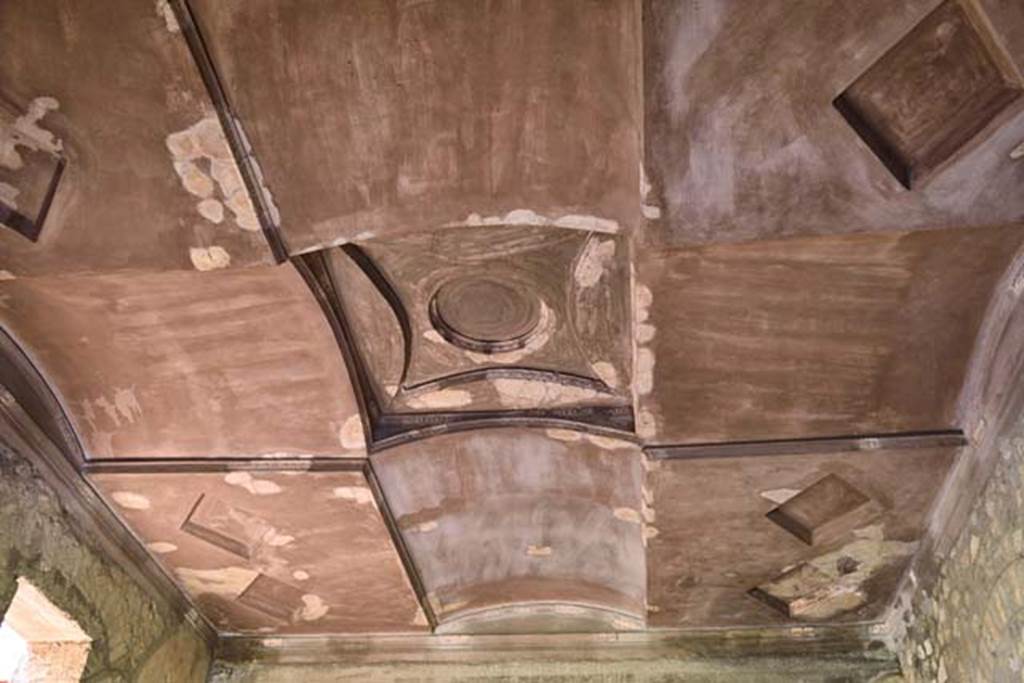 Oplontis Villa of Poppea, April 2018. Room 74, ceiling. Photo courtesy of Ian Lycett-King. 
Use is subject to Creative Commons Attribution-NonCommercial License v.4 International.