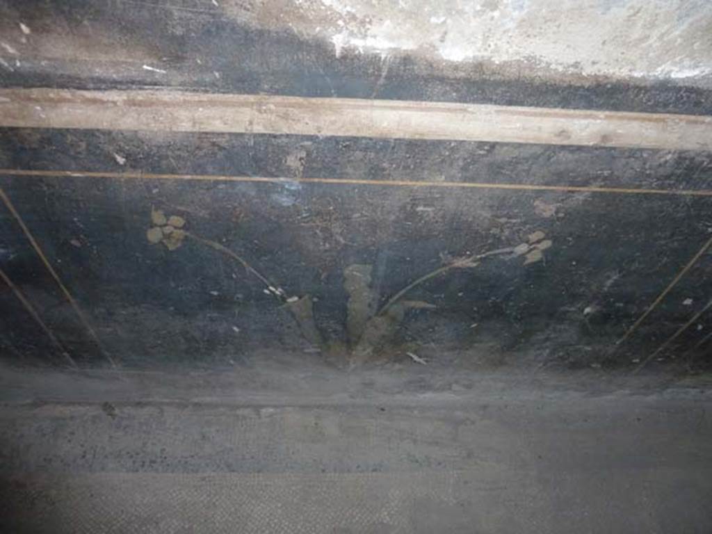 Oplontis, September 2015. Corridor 77, black zoccolo on east wall.