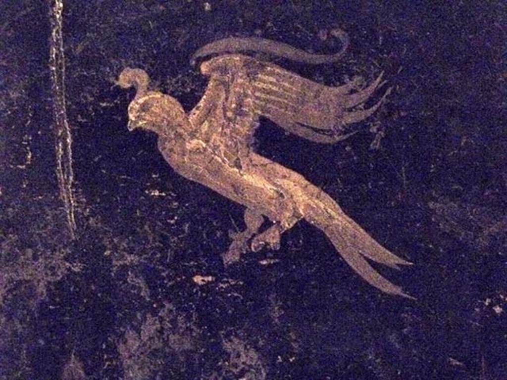 Oplontis Villa of Poppea, May 2011. Corridor 77, detail of bird from middle panel of east wall.  
Photo courtesy of Michael Binns.