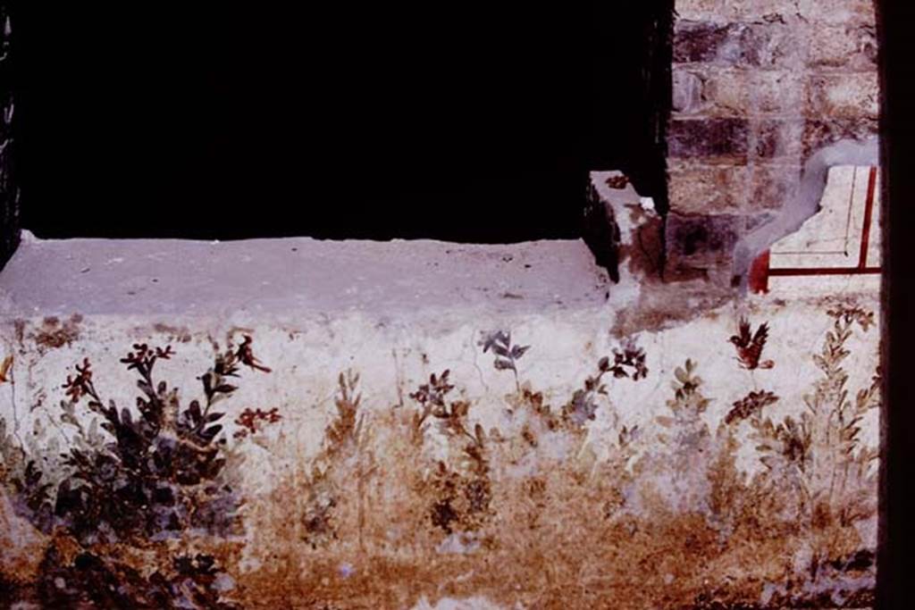 Oplontis, c.1977. Room 78, garden painting of plants and birds on exterior wall. 
Source: The Wilhelmina and Stanley A. Jashemski archive in the University of Maryland Library, Special Collections (See collection page) and made available under the Creative Commons Attribution-Non Commercial License v.4. See Licence and use details. Oplo0100