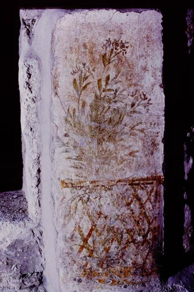 Oplontis, 1977. Room 78, exterior painted dado wall with trellis and garden painting. Photo by Stanley A. Jashemski.   
Source: The Wilhelmina and Stanley A. Jashemski archive in the University of Maryland Library, Special Collections (See collection page) and made available under the Creative Commons Attribution-Non Commercial License v.4. See Licence and use details. J77f0227