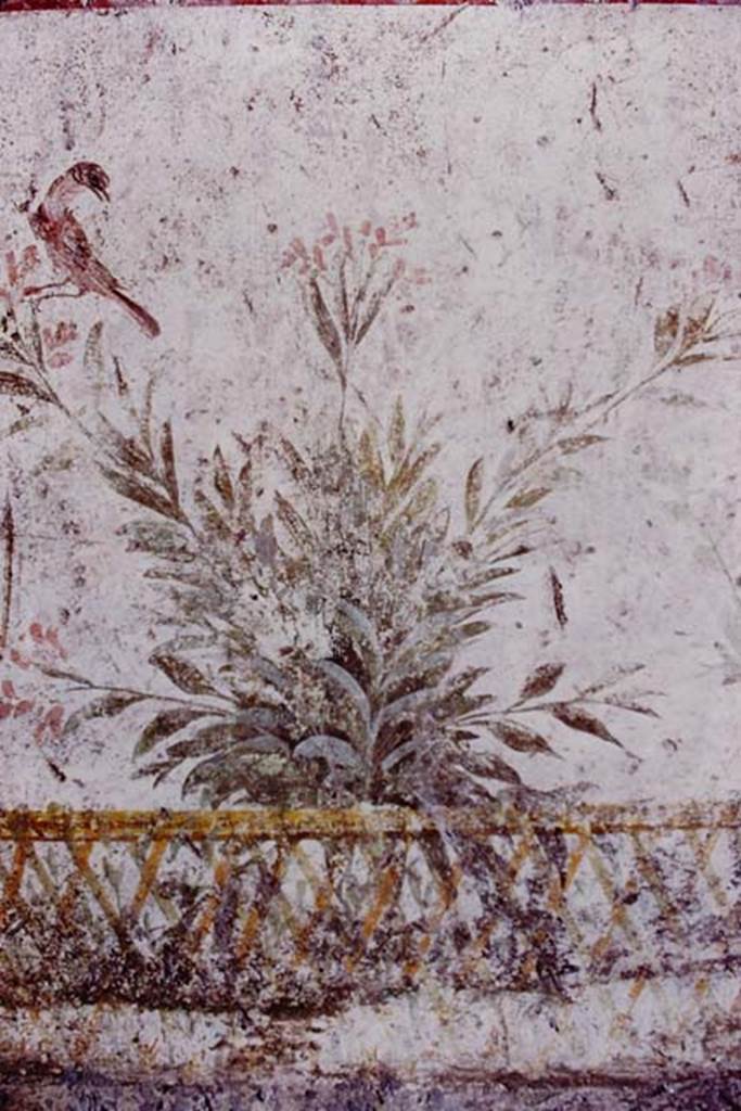 Oplontis, 1977. Room 87, painted garden with trellis fencing, plants and bird. Photo by Stanley A. Jashemski.   
Source: The Wilhelmina and Stanley A. Jashemski archive in the University of Maryland Library, Special Collections (See collection page) and made available under the Creative Commons Attribution-Non Commercial License v.4. See Licence and use details. J77f0231
