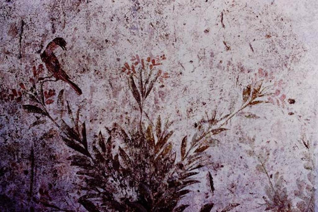 Oplontis, 1977. Room 78, detail of bird and plant. Photo by Stanley A. Jashemski.   
Source: The Wilhelmina and Stanley A. Jashemski archive in the University of Maryland Library, Special Collections (See collection page) and made available under the Creative Commons Attribution-Non Commercial License v.4. See Licence and use details. J77f0230