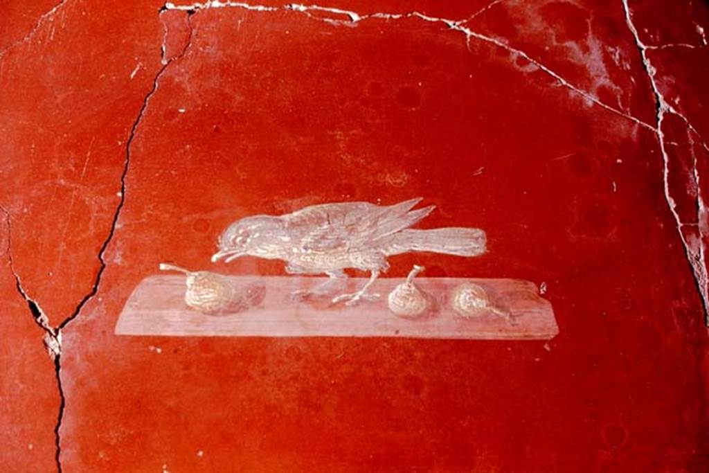Oplontis, 1978. Room 81, bird and fruit. Photo by Stanley A. Jashemski.   
Source: The Wilhelmina and Stanley A. Jashemski archive in the University of Maryland Library, Special Collections (See collection page) and made available under the Creative Commons Attribution-Non Commercial License v.4. See Licence and use details. J78f0357