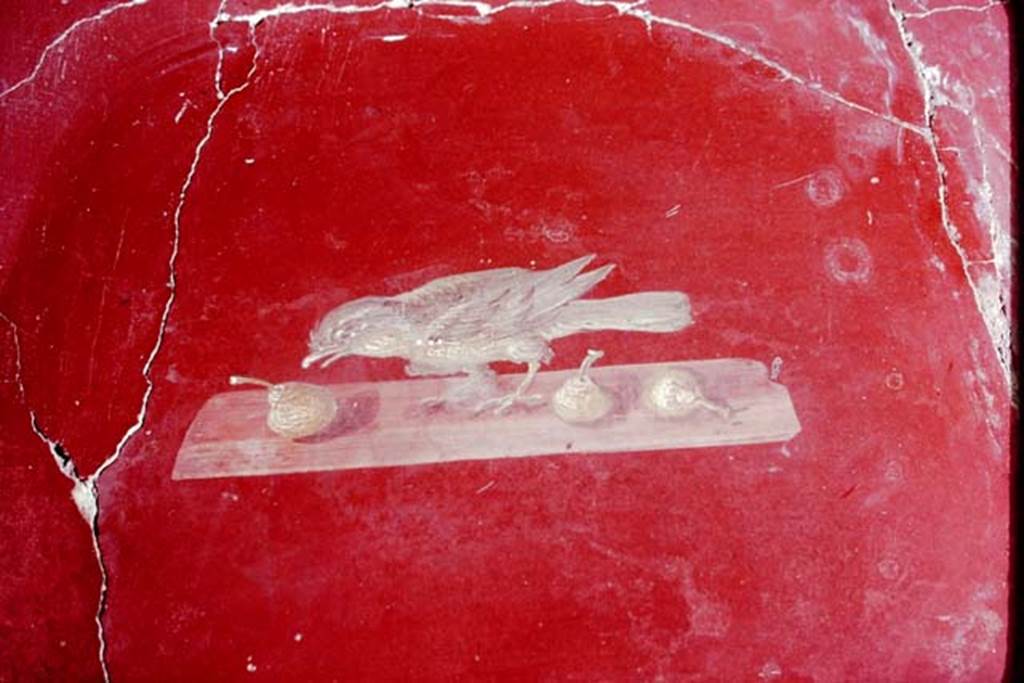 Oplontis, 1977. Room 81, bird pecking at fruit. Photo by Stanley A. Jashemski.   
Source: The Wilhelmina and Stanley A. Jashemski archive in the University of Maryland Library, Special Collections (See collection page) and made available under the Creative Commons Attribution-Non Commercial License v.4. See Licence and use details. J77f0389