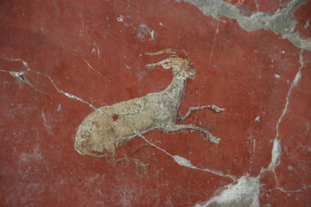 Oplontis Villa of Poppea, September 2021. 
Room 81, detail of painted animal, goat or deer, from centre of south wall. Photo courtesy of Klaus Heese.